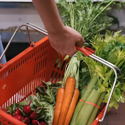 Bassin Chariots Paniers Épicerie