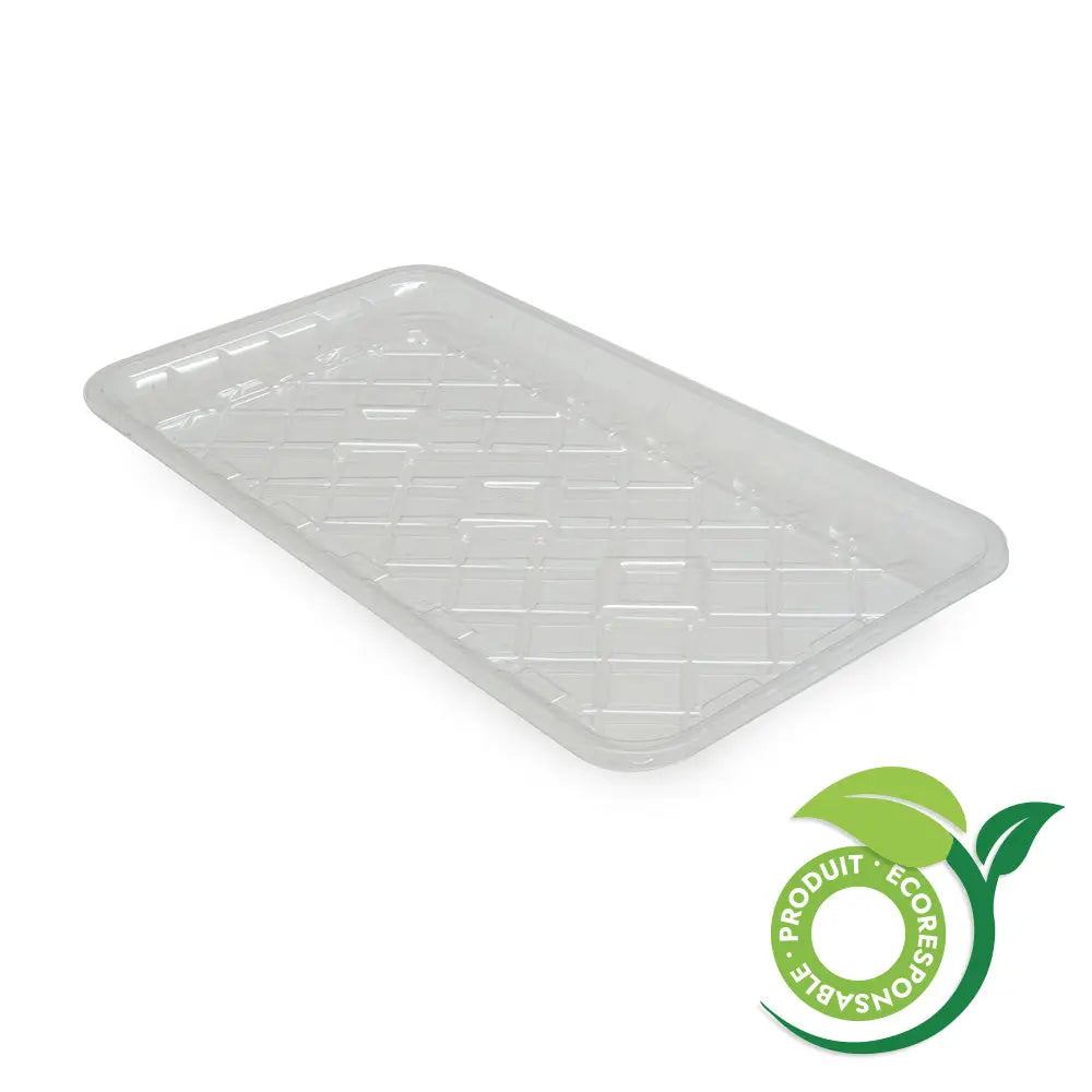 Barquette plastique PET Transparente