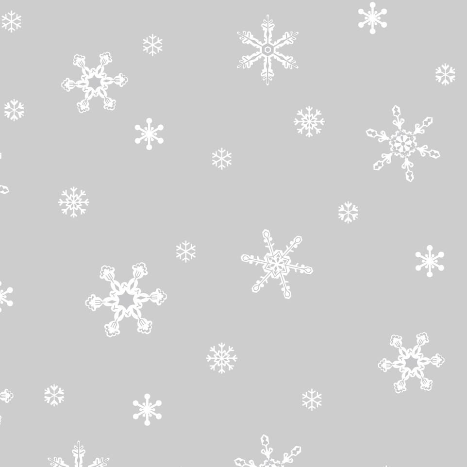 Rouleau de polypropylène S&P Le magasin des Commerçants