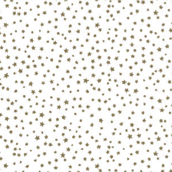 Rouleau de polypropylène S&P Le magasin des Commerçants